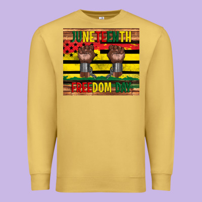 Juneteenth Freedom Day Tumbler Premium Sweatshirt Designed By Artiststas