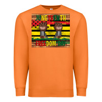 Carrot juneteenth freedom day tumbler Premium Sweatshirt - Artiststas
