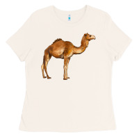 Bone camel Ladies Tee - BarkalooDesign
