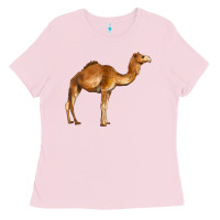 Bubblegum Pink camel Ladies Tee - BarkalooDesign