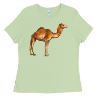 Matcha camel Ladies Tee - BarkalooDesign
