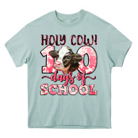 Arona holy cow 100 days of school Heavy Core Tee - LillyAllenDesigns