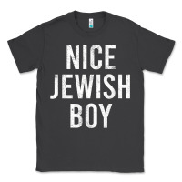 Hanukkah Nice Jewish Boy Cool Chanukah Festival Jewish Gift T Shirt Classic Tee | Teevron