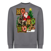 Storm Christmas Trex Ho Ho Ho Santa Heavyweight Sweatshirt - FaDigitalArtStudio