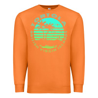 Carrot Bvi Tortola British Caribbean Island Souvenir Premium Sweatshirt - minhPixels