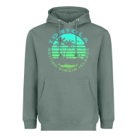 Sage Bvi Tortola British Caribbean Island Souvenir Heavyweight Hoodie - minhPixels