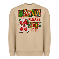 Mushroom Santa Please Stop Here Heavyweight Sweatshirt - FaDigitalArtStudio