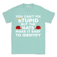 Seafoam You Can'T Fix Stupid But The Hats Make It Easy To Identify Classic Tee - minhPixels