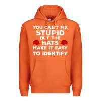 Carrot You Can'T Fix Stupid But The Hats Make It Easy To Identify Premium Hoodie - minhPixels