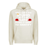 Oatmeal Heather You Can'T Fix Stupid But The Hats Make It Easy To Identify Premium Hoodie - minhPixels