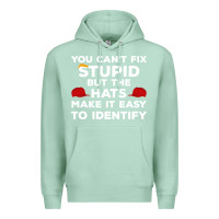 Seafoam You Can'T Fix Stupid But The Hats Make It Easy To Identify Premium Hoodie - minhPixels
