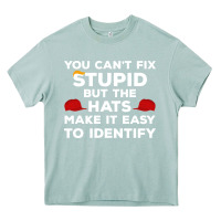 Arona You Can'T Fix Stupid But The Hats Make It Easy To Identify Heavy Core Tee - minhPixels