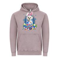 Vintage Zinc Bunny Maltese With Egg Basket Easter Flower Hunting Egg Vintage Hoodie - minhPixels