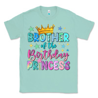 Seafoam brother of the birthday princess Classic Tee - NancyCooperArtShop