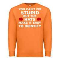 Carrot You Can'T Fix Stupid But The Hats Make It Easy To Identify Premium Sweatshirt - minhPixels