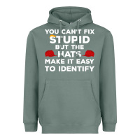 Sage You Can'T Fix Stupid But The Hats Make It Easy To Identify Heavyweight Hoodie - minhPixels