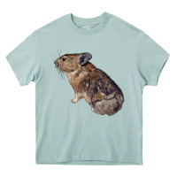 Arona pika Heavy Core Tee - LillyAllenDesigns