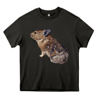 Asphalt pika Heavy Core Tee - LillyAllenDesigns