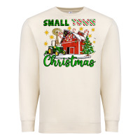 Sandshell Small Town Christmas Premium Sweatshirt - Artiststas