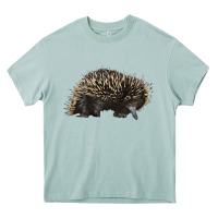 Arona short beaked echidna Heavy Core Tee - LillyAllenDesigns