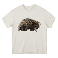 Cream short beaked echidna Heavy Core Tee - LillyAllenDesigns