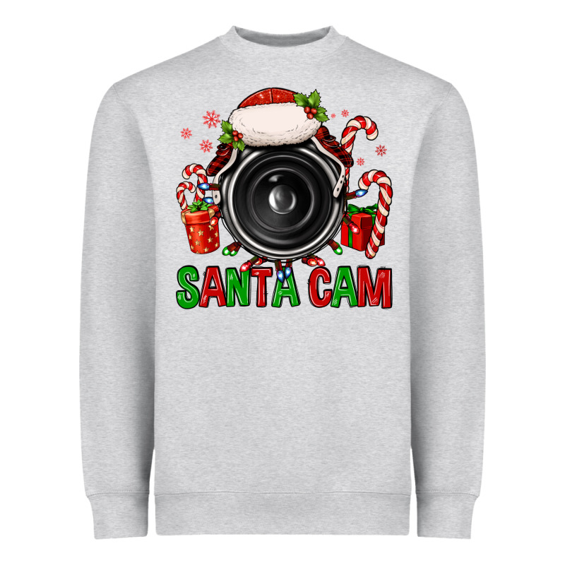 Santa Cam Heavyweight Sweatshirt by FaDigitalArtStudio | Teevron