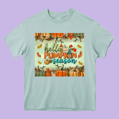Hello Pumpkin Season Tumbler Heavy Core Tee Designed By Bundleandbundleshop