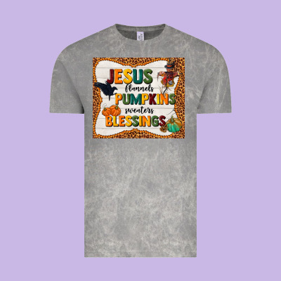 Jesus Flannel's Pumpkins Blessings Vintage Tee Designed By Tumblerdesignbyshophia
