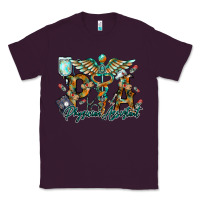 Plum physician assistant Classic Tee - RacoonDesign