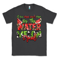 Smoke If you drink don't drive do the watermelon crawl Classic Tee - NancyCooperArtShop