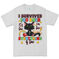 Dove Grey i survived 100 days it's fine i'm fine Premium Tee - Artiststas