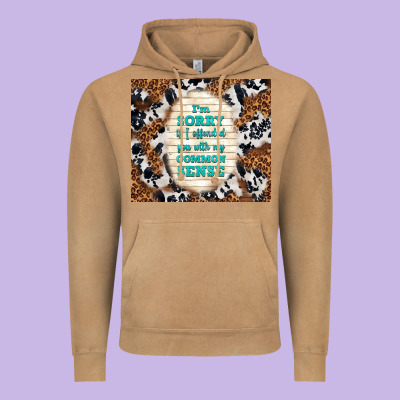 I'm Sorry If I Offended You With My Common Sense Vintage Hoodie Designed By Tumblerdesignbyshophia