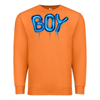 Carrot Balloon Boy Premium Sweatshirt - Artiststas