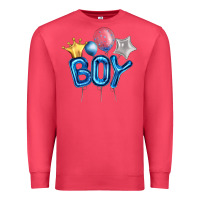 Cardinal Birthday Boy Balloon Premium Sweatshirt - Artiststas