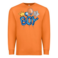 Carrot Birthday Boy Balloon Premium Sweatshirt - Artiststas