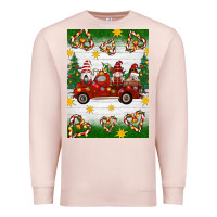 Pale Pink christmas gnomes truck Premium Sweatshirt - Artiststas