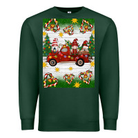Sports Green christmas gnomes truck Premium Sweatshirt - Artiststas