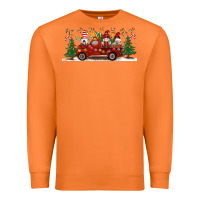 Carrot Christmas Gnome Truck Premium Sweatshirt - Artiststas