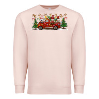 Pale Pink Christmas Gnome Truck Premium Sweatshirt - Artiststas