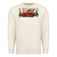 Christmas Gnome Truck Premium Sweatshirt | Teevron