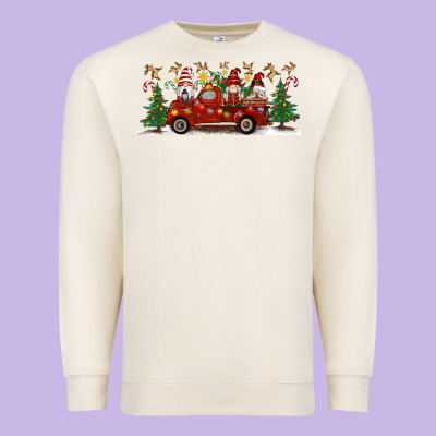 Christmas Gnome Truck Premium Sweatshirt Designed By Artiststas