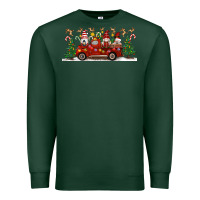Sports Green Christmas Gnome Truck Premium Sweatshirt - Artiststas
