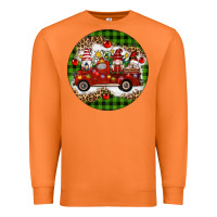 Carrot christmas gnomes truck Premium Sweatshirt - Artiststas