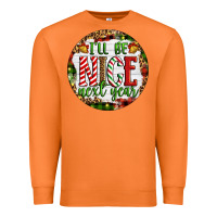 Carrot Christmas i'll be nice next year Premium Sweatshirt - Artiststas
