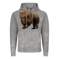Cloud Rock Grizzly Bear Vintage Hoodie - HowdyJamesFarm