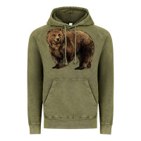 Vintage Olive Grizzly Bear Vintage Hoodie - HowdyJamesFarm
