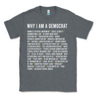 Charcoal Heather Why I am a Democrat cool political outfit for democrats Long Sleeve Classic Tee - lanVoArt