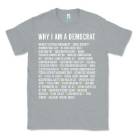 Heather Grey Why I am a Democrat cool political outfit for democrats Long Sleeve Classic Tee - lanVoArt