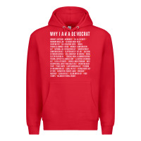 Why I Am A Democrat Cool Political Outfit For Democrats Long Sleeve Premium Hoodie | Teevron