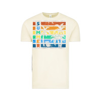 Vintage Arctic retro summer Vintage Tee - TumblerDesignByShophia